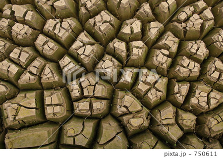 ひび割れる大地 750611