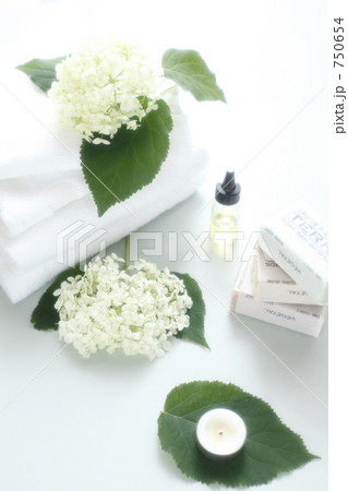 爽やかに　２ 750654