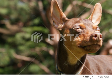 りっキー りっキー 750788