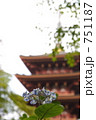 紫陽花と五重塔 751187