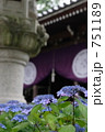 高幡不動尊の紫陽花 751189