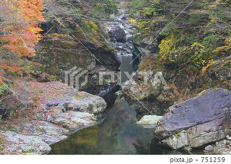 面河渓紅葉の写真素材