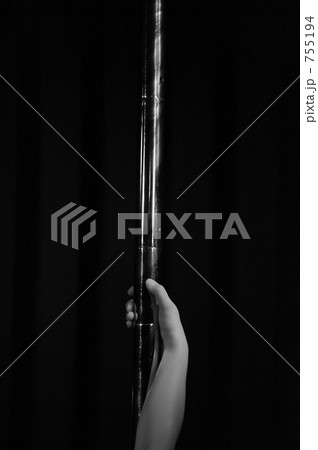 ポールダンス 755194