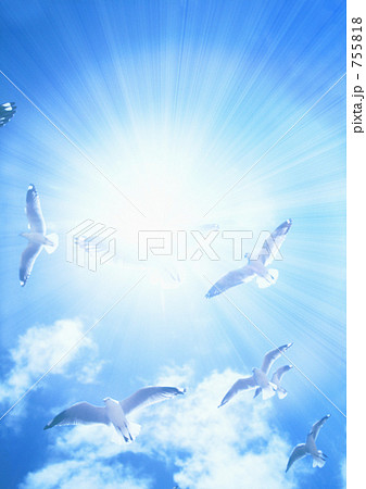青空と太陽とかもめ 青空と太陽とかもめ 755818