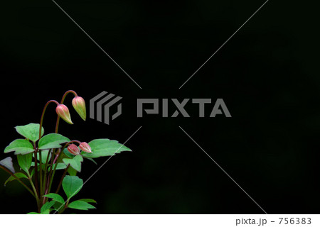 ブラックボード 756383