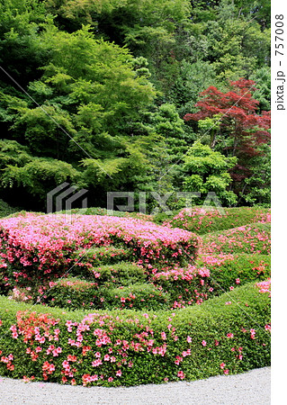 サツキ咲く日本庭園 757008
