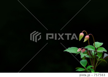 ブラックボード　２ 757563