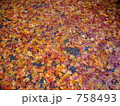 紅葉 758493