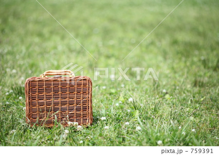 芝生とピニックバッグ 759391