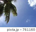 ヤシの木を見上げた 761160