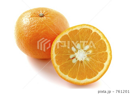 甘夏 甘夏 761201