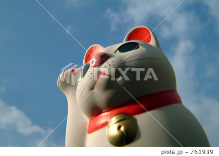 Welcome Cat 7 761939