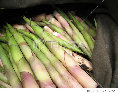 リュックの中身はタケノコ 763292