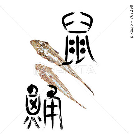ネズミゴチと筆文字 ネズミゴチと筆文字 763299