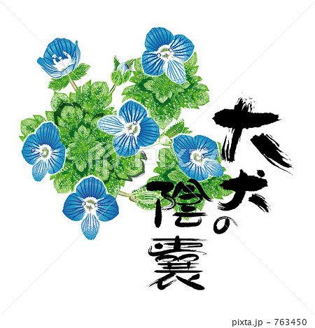 オオイヌのフグリと筆文字 763450