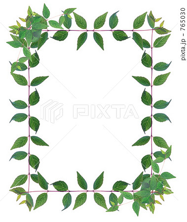 リーフフレーム 765030