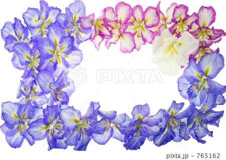 ハナショウブのフレーム　花の枠 765162