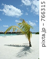 モルディブのビーチ 766315