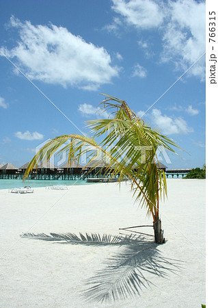 モルディブのビーチ モルディブのビーチ 766315