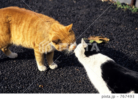 変な関係? 変な関係? 767493