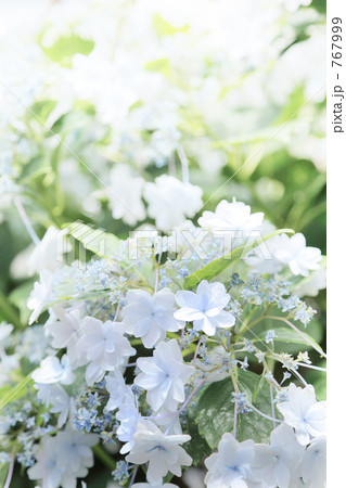 墨田で撮ったスミダノハナビ 墨田で撮ったスミダノハナビ 767999