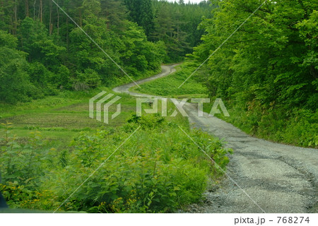 山道 768274