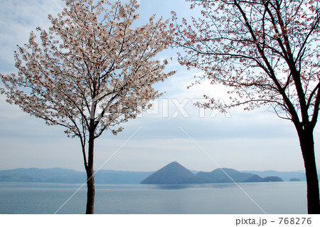 桜と洞爺湖 768276