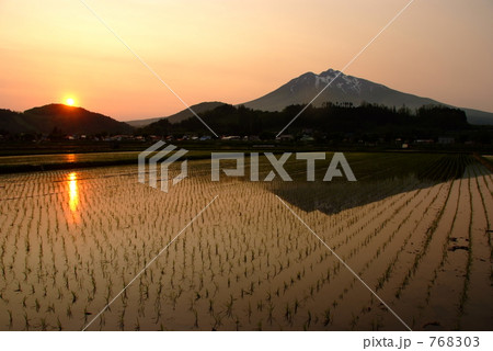 夕陽と水田 768303