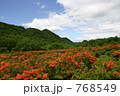 赤城のつつじ 768549