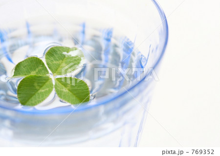 クローバー　Ⅱ 769352