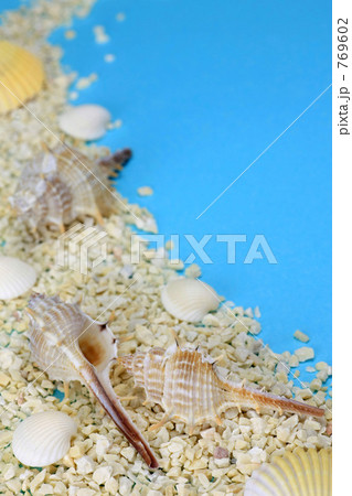 サマーイメージ サマーイメージ 769602