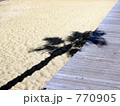 砂浜のシュロ 770905