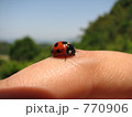 てんとうむし 770906