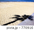 浜辺のシュロ 770916