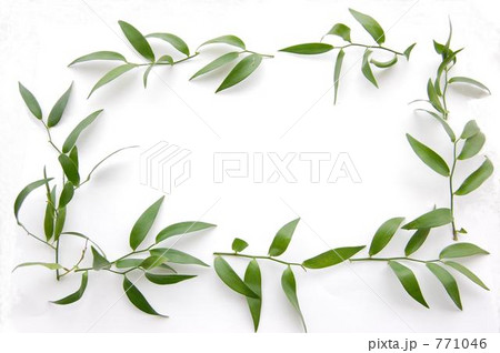 ☆・・ルスカスの枠・・☆ 771046