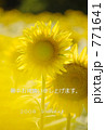 ひまわり 771641