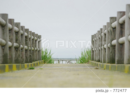 橋の向こう 772477