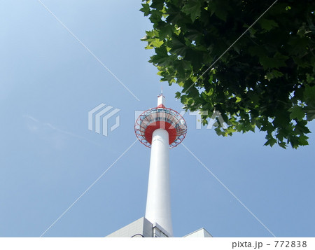 京都タワーと新緑のプラタナス 772838
