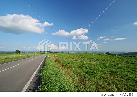 ナイタイ高原牧場 ナイタイ高原牧場 773984