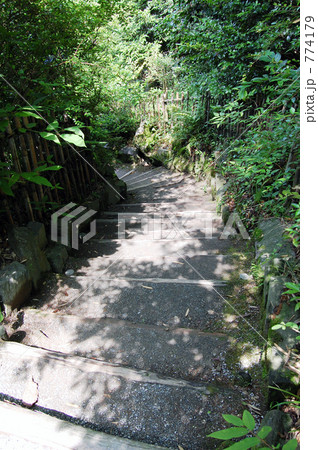 木漏れ日の階段 774179