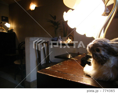 ランプとウサギ 774365