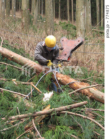 集材作業中 774875