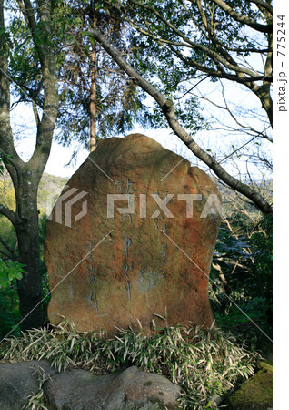 一茶の句碑 一茶の句碑 775244