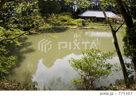 浄瑠璃寺の池の対岸から本堂を見る 775307