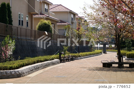 春の散歩道 春の散歩道 776652