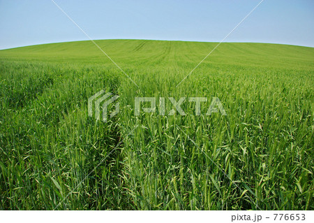 かわにしの丘 776653