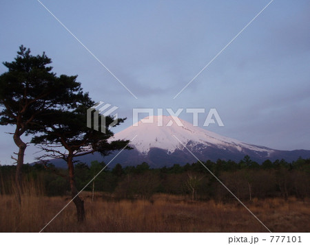 富士山と松 777101