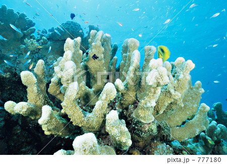 h-ir034 h-ir034 777180