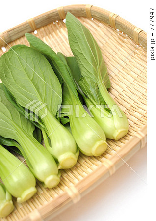 チンゲンサイ青梗菜のイメージ チンゲンサイ青梗菜のイメージ 777947