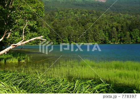 オンネトー オンネトー 778397